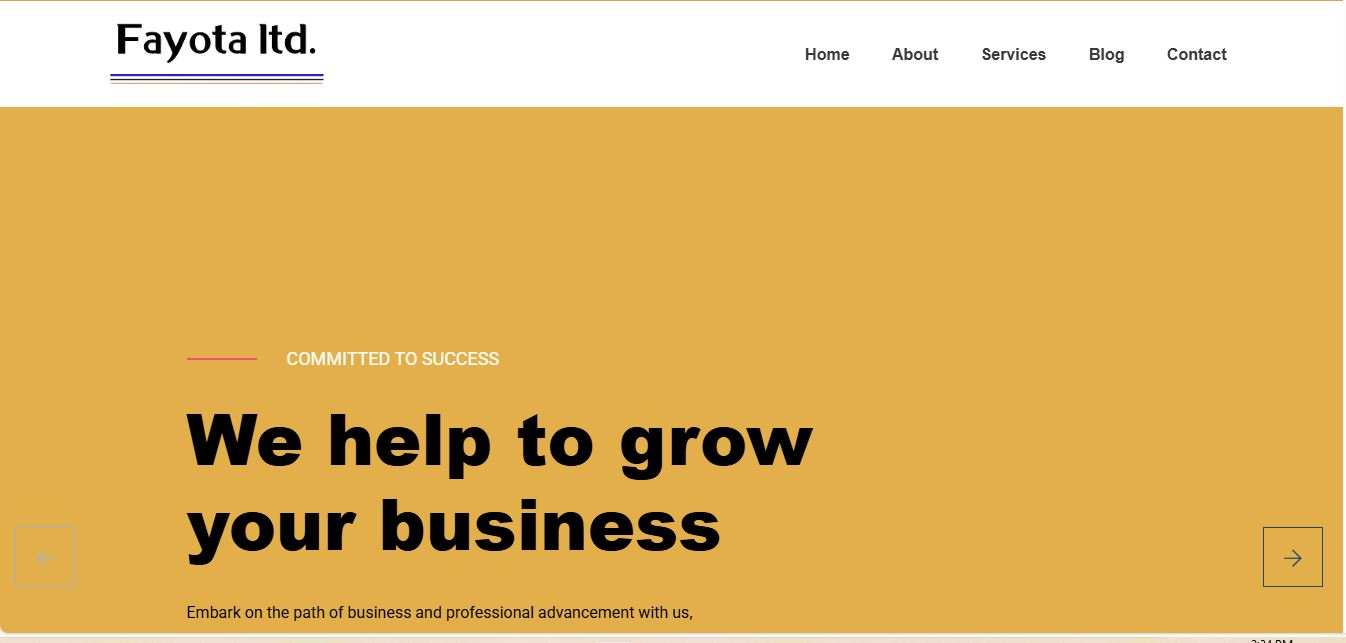 Consultancy Firm Project